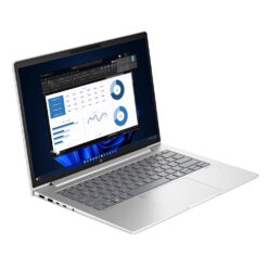 HP ProBook 445 G11